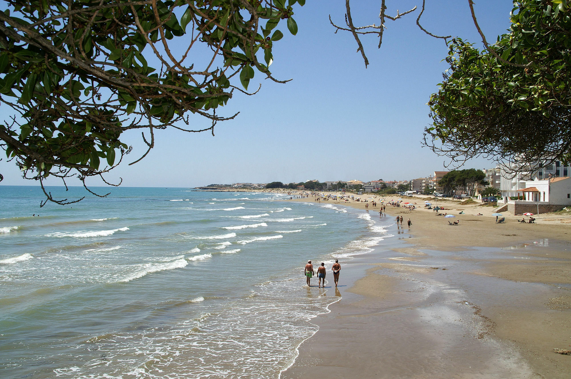 Apartamentos Playamar 3000 Alcossebre Dış mekan fotoğraf